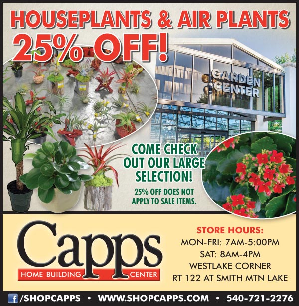 25% off regular priced houseplants and air plants